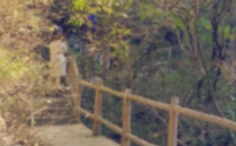 《那片綠綠的爬山虎》備課教材