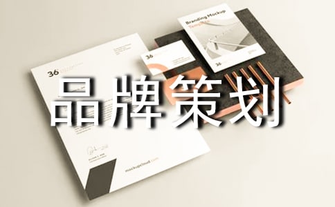 保險品牌策劃方案