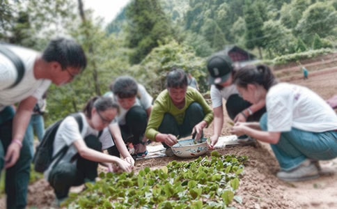大學生三下鄉實習報告4篇