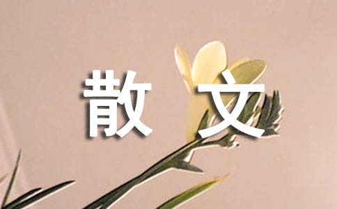冬至的散文【必備15篇】