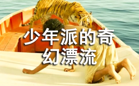 《少年派的奇幻漂流》觀后感400字
