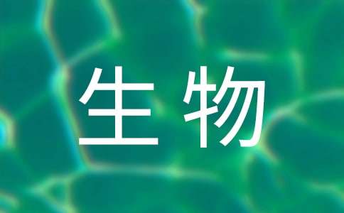 ���＼�g���I���]��(���x11ƪ)