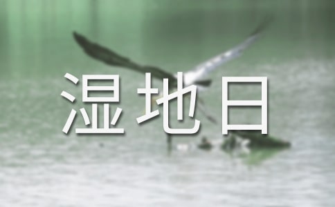 2016�����������ǎ�����