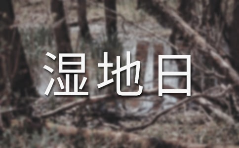 2017����H������ǎ�����