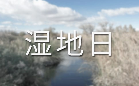 ����2016�����������}