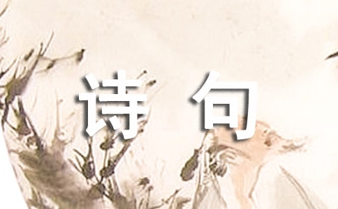 有感情的詩(shī)句大全(2篇)