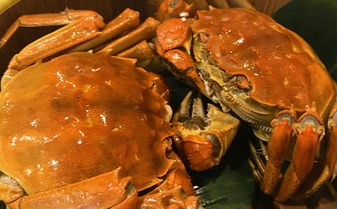 有趣的食物鏈教學(xué)設(shè)計(jì)