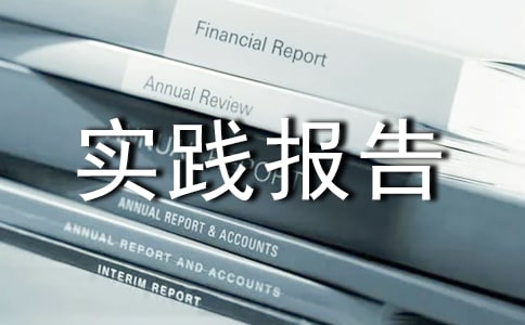稅務實踐報告