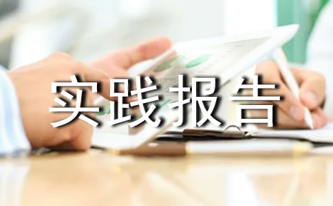 高中生的暑假社會實踐報告