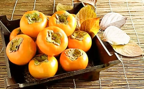 ѩ�����x���������