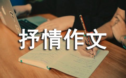 【精選】借物抒情作文3篇