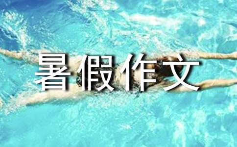 【熱】難忘的暑假作文
