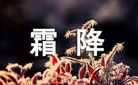 ��˪�������}���L����Ʒ