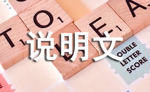 【熱門】說明文作文300字錦集6篇