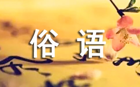 民間俗語生動形象