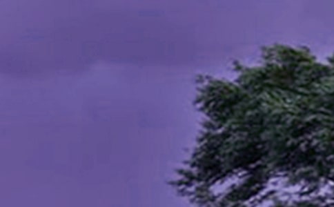 �_�L��ͨ��(����15ƪ)