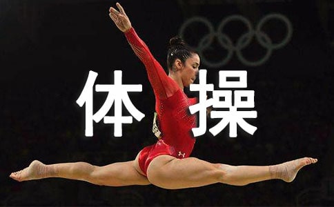 中學體操教學分析