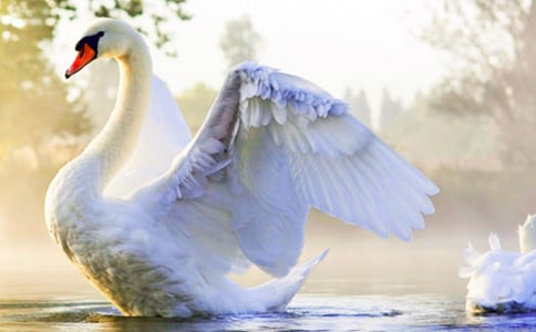 ��Ұ���Z���x��У��ϼ���