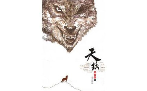《天狼》讀書(shū)筆記集合(4篇)