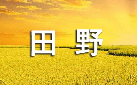 關(guān)于美麗的田野作文3篇