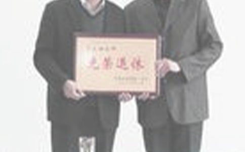 延遲退休 圖解
