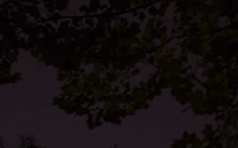 �������������İ��R�������x160�䣩