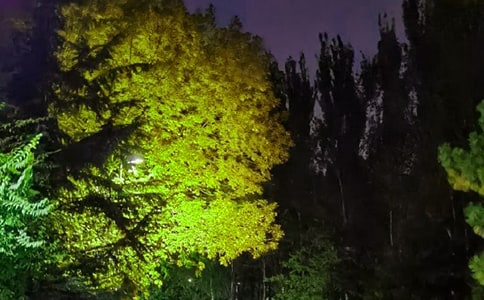 ��(j��ng)�䂀�������İ�85�侫�x
