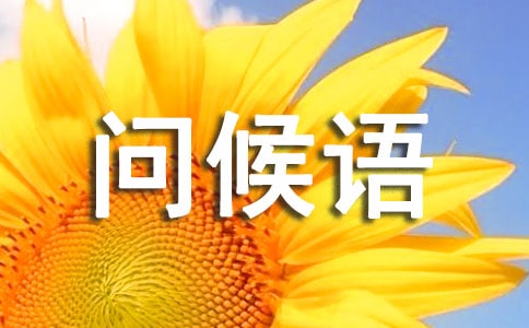2023�궬�����Æ����Z����29�l