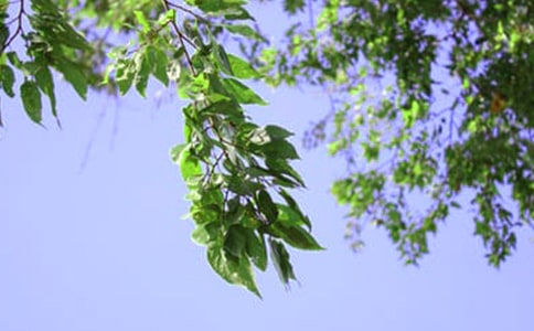 �����簲�İ������x90�䣩