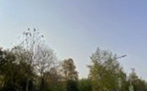 經典治愈午安文案大全60句