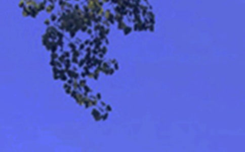 �P(gu��n)���簲�İ���ȫ50�侫�x