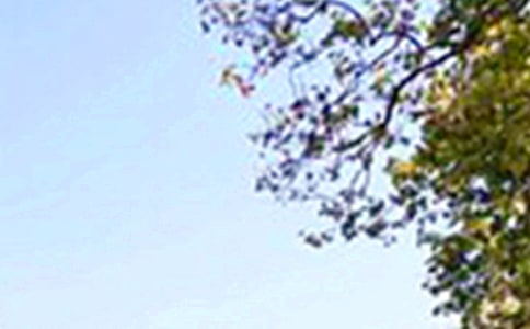 ��־�簲�İ�40�侫�x