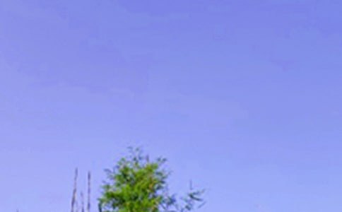 �P(gu��n)�ڜ�ܰ�簲�İ������x50�䣩