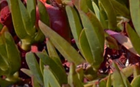 �P���簲�İ���ȫ��ͨ��80�䣩