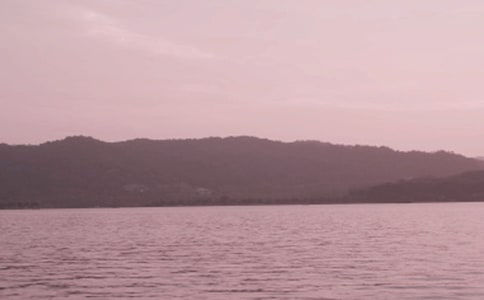 西湖,你是什么模樣作文
