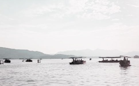 美麗的西湖作文精選15篇