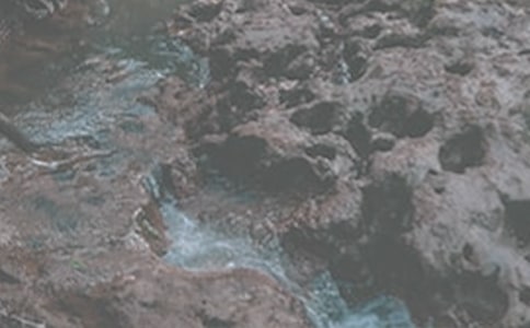 СϪ������������