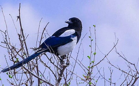 ������һ�꼉(j��)����(sh��)��ϲ�o���u(p��ng)�n��