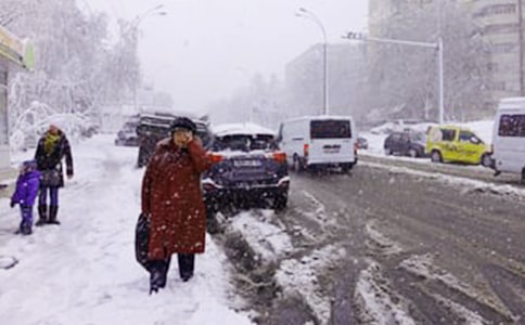 下雪了作文【合集】