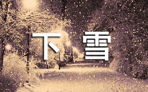 �P����ѩ���� ���x
