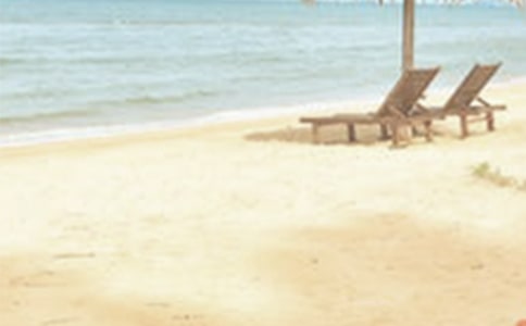用廢棄材料設計夏季服裝