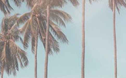 夏季減肥的最快方法