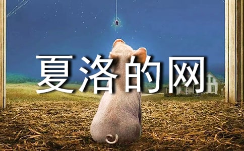 《夏洛的網》心得體會