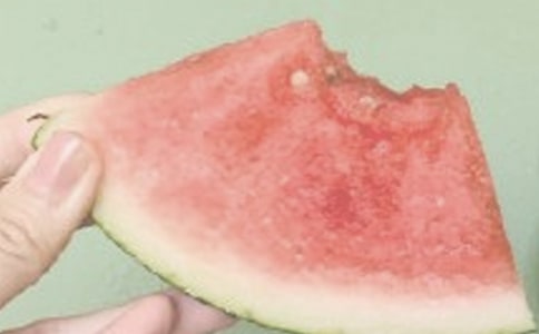 夏日即景作文