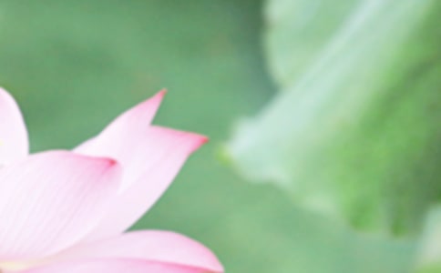 夏至繪畫教案(精選7篇)