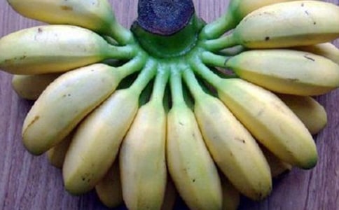 �㽶Ƥ��15����Ч�c���� �㽶Ƥ�������е�����