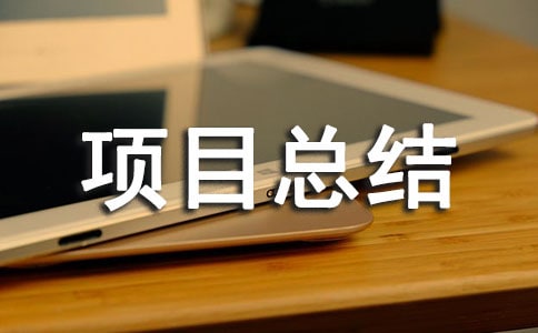 項目總結報告匯編15篇