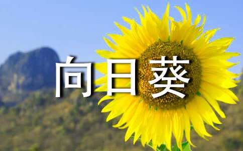 ���տ�������