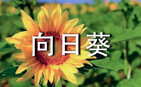 �P�����տ�������