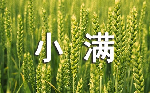 小滿節(jié)氣文案簡短